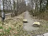 Schmaler Weg auf einer stillgelegten Bahntrasse mit zwei großen Felsblöcken und kahlen Bäumen.