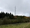 Strommast mit Hochspannungsleitungen über einer bewaldeten Landschaft unter grauem Himmel.