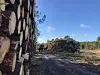 Gestapelte Baumstämme neben einem Waldweg mit weiteren Holzstapeln in der Ferne.