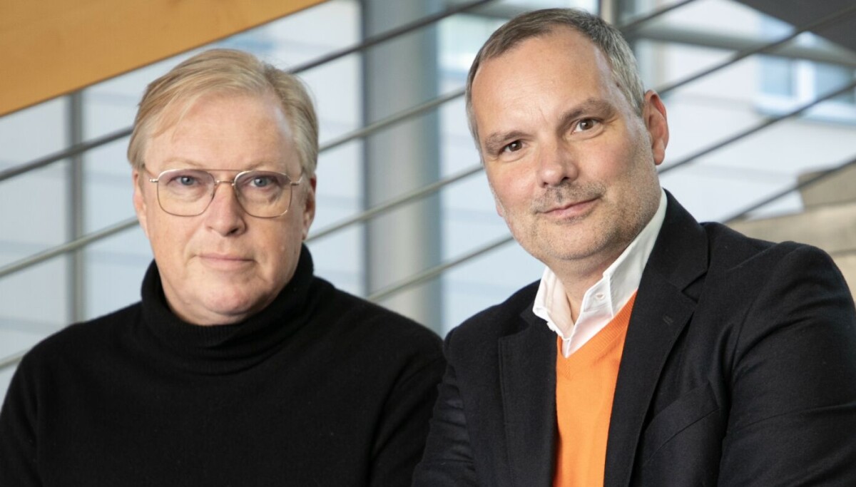 Deutschlandkenner: Grundsätzlicher Unterschied zwischen AfD und Dänischer ...