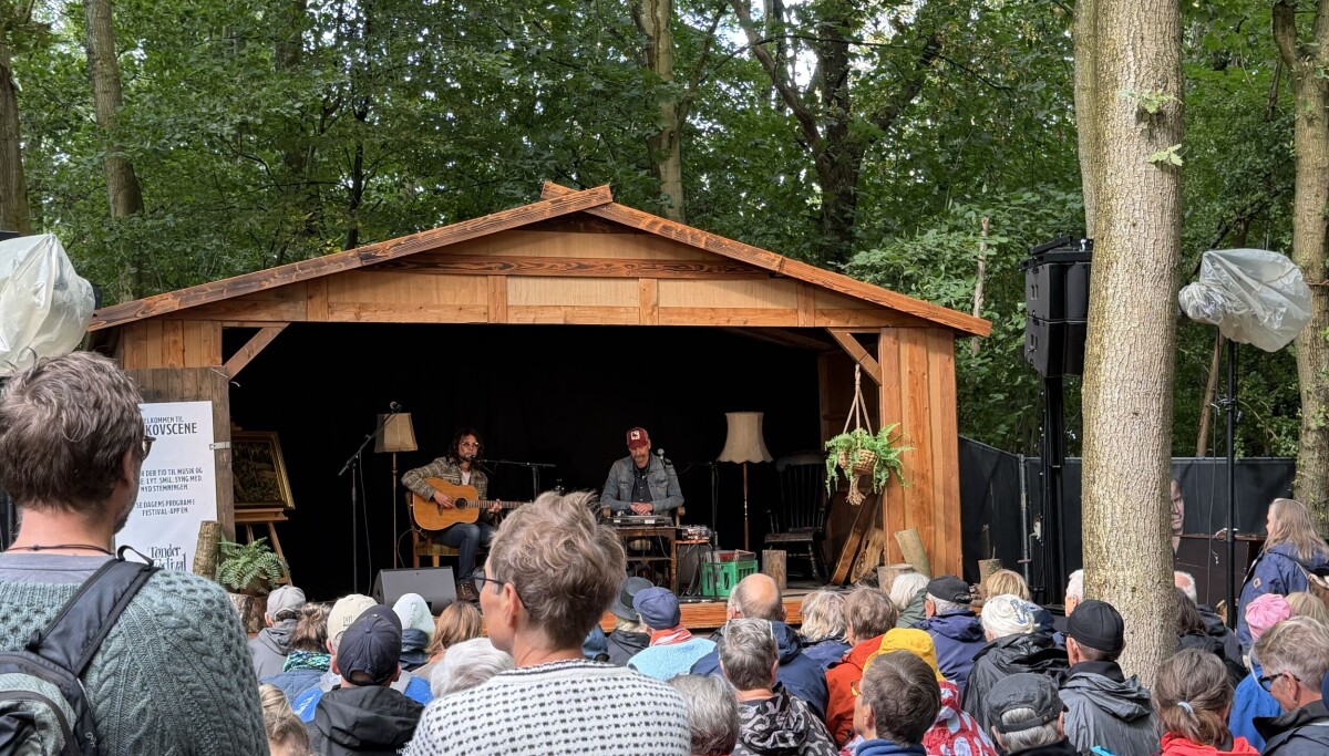 Tønder Festival draws initial positive conclusions - | and looks ahead to ...