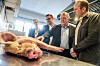 Tierschutz: Das wird eine Schweine-Arbeit