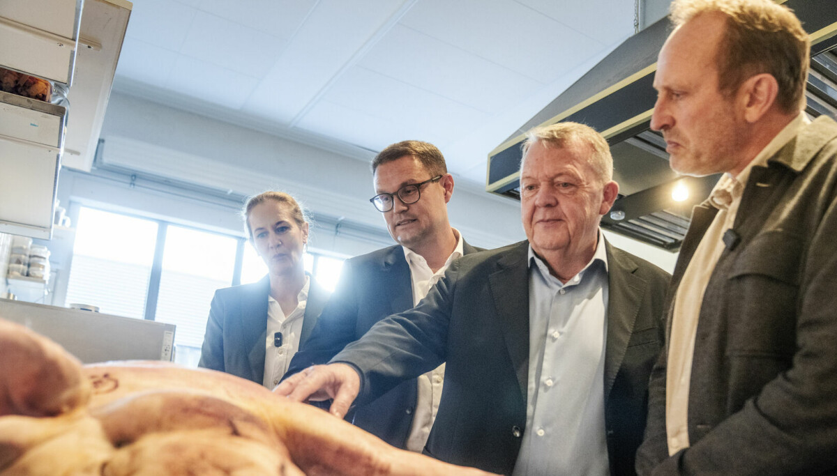 Tierschutz: Das wird eine Schweine-Arbeit