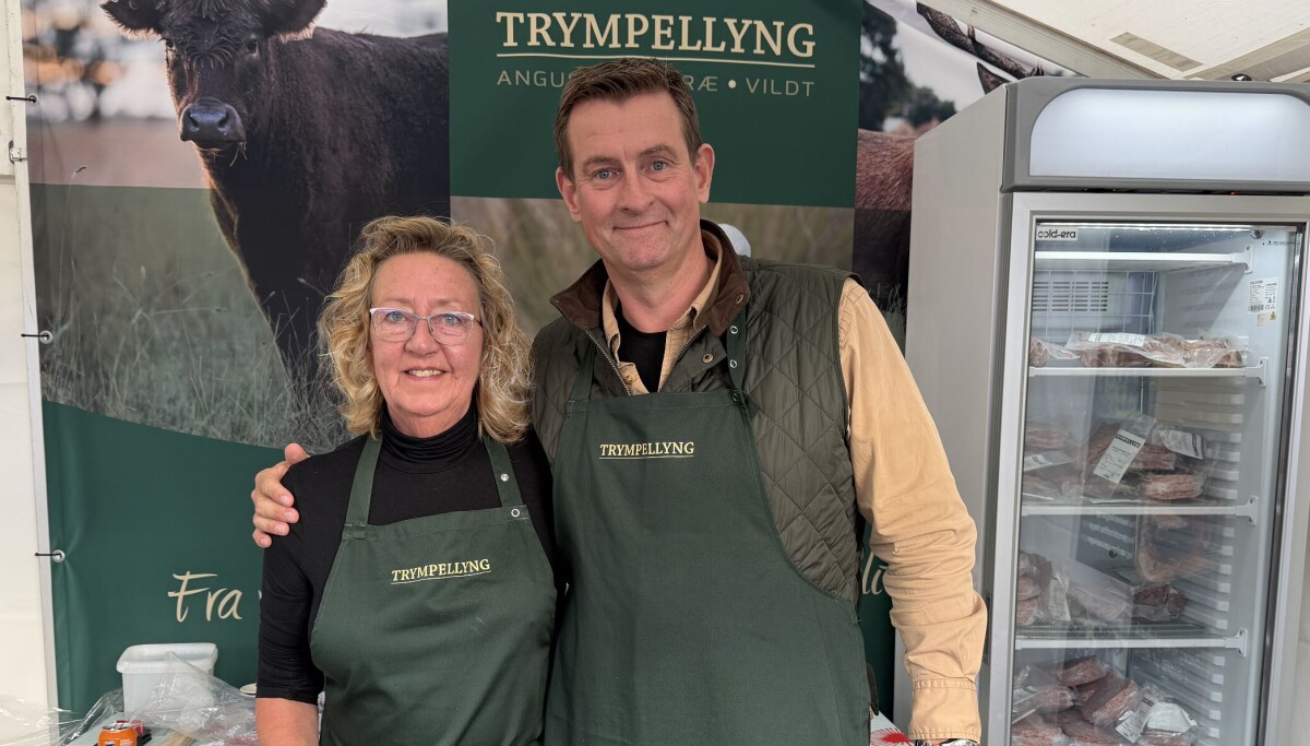 Wildwurst, Wein und Wir-Gefühl: Mehrere tausend Gäste besuchen Sonderburgs ...