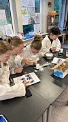 Wärme und Kälte als Experiment: Kinder in Feldstedt forschen und lernen ...