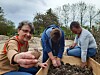 Mach mit und pflanze Seegras-Kartoffeln entlang der Flensburger Frde | Der  Nordschleswiger
