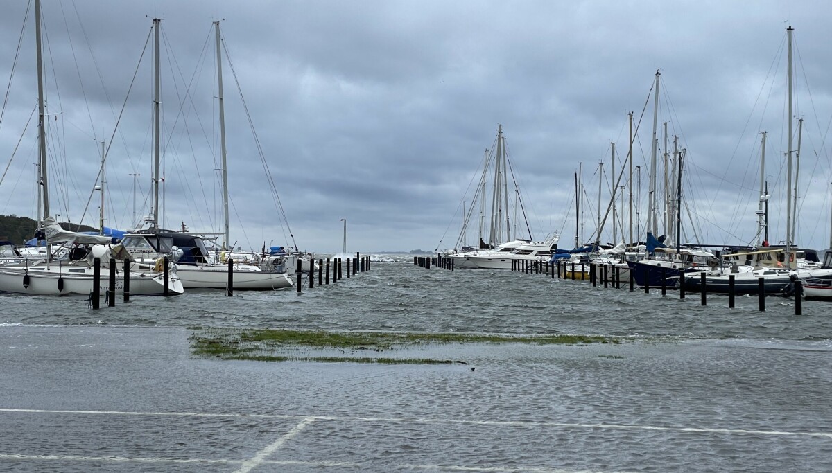 Storm surge warning in North Schleswig: DMI warns of flooding in Aabenraa ...