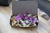 Streetfood-Festival in Apenrade: Gerichte zu teuer? Das sagt „Mad og ...
